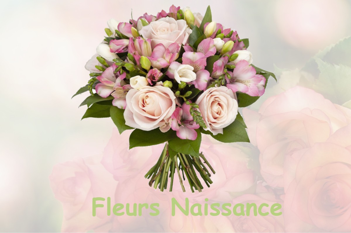 fleurs naissance FROUZINS