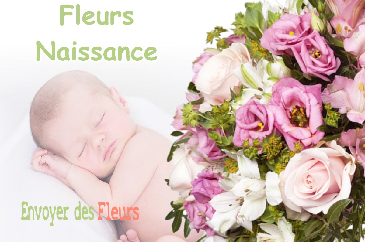 lIVRAISON FLEURS NAISSANCE à FROUZINS