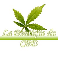 LA BOUTIQUE DU CBD FROUZINS 